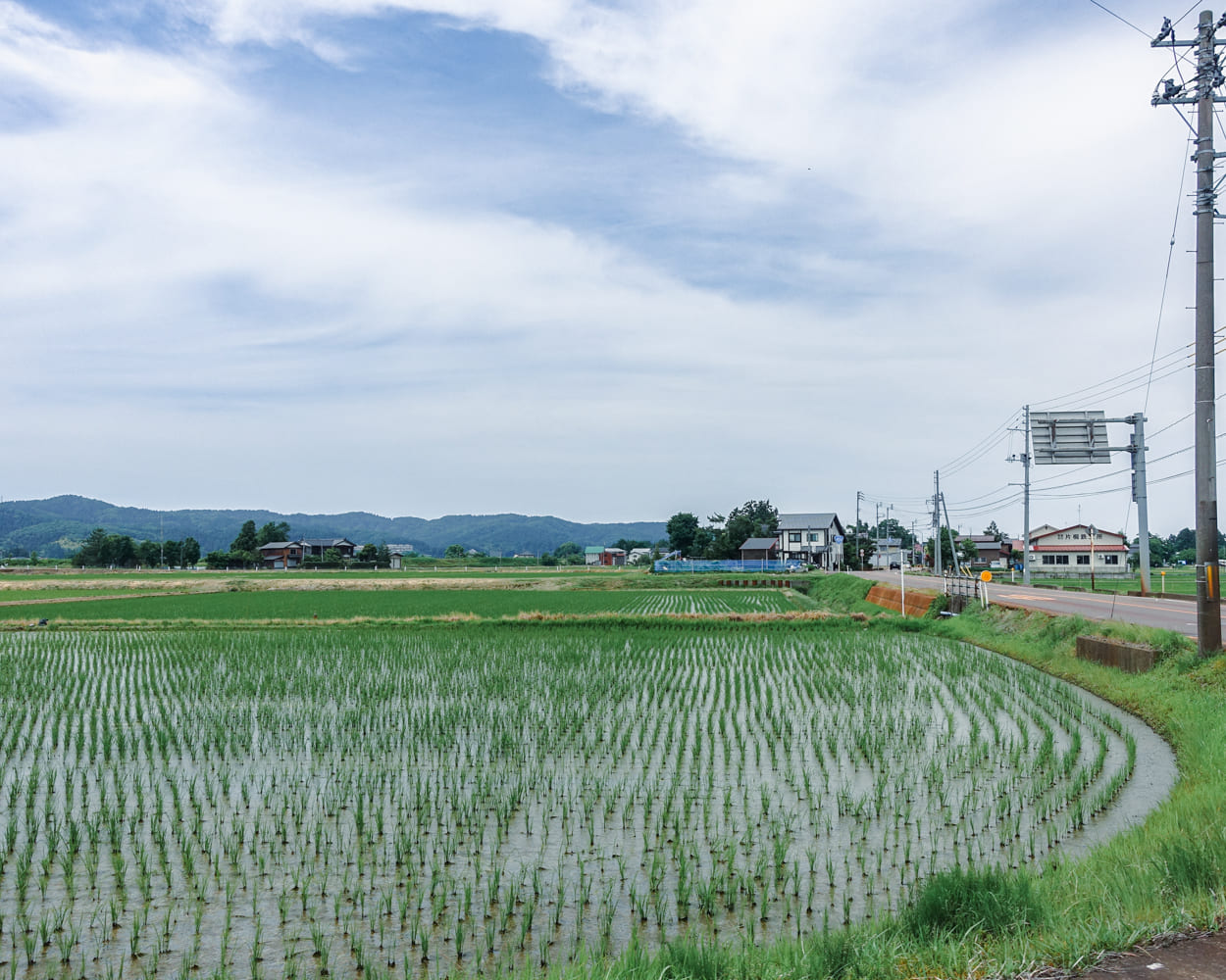 三島地域の田園風景